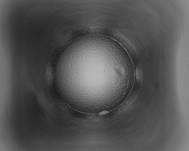 X0000103171107200808291504