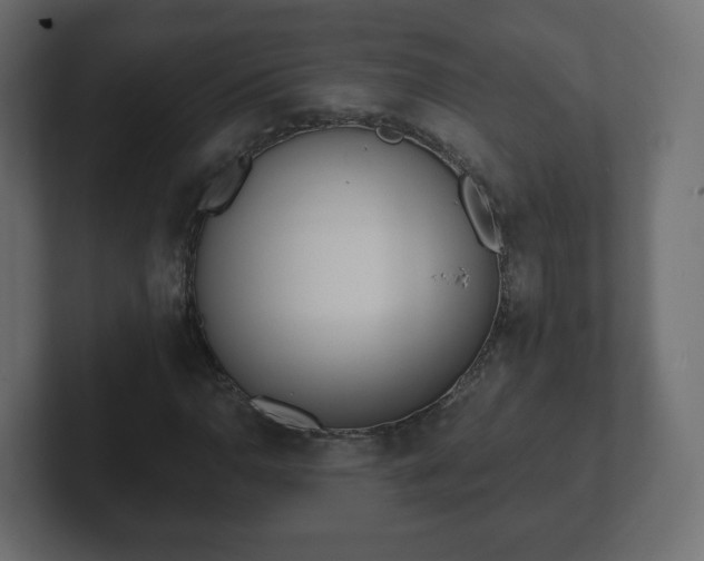 X0000103171110200808291504