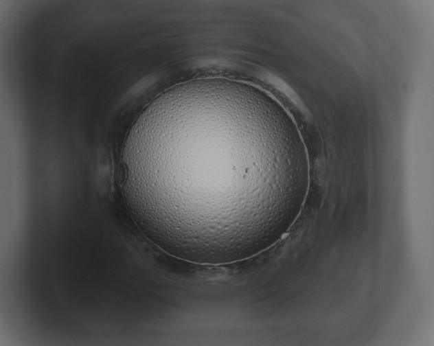 X0000103171111200808291504