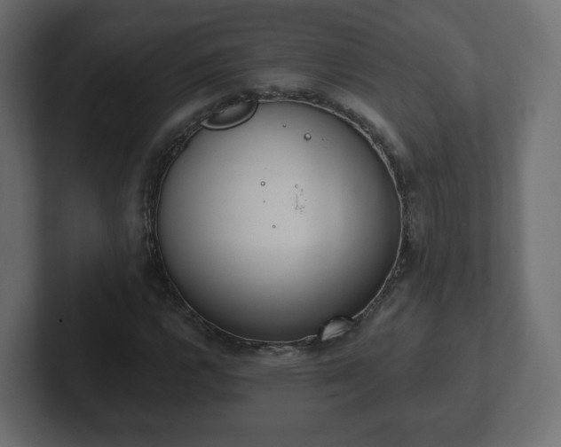 X0000103171112200808291504