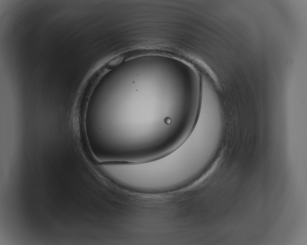 X0000103171114200808291505