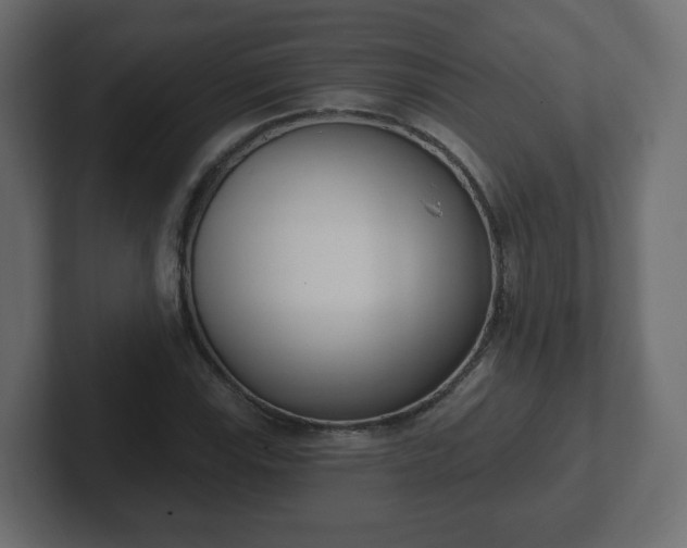 X0000103171115200808291505