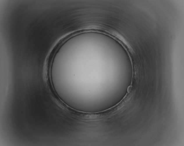 X0000103171116200808291505