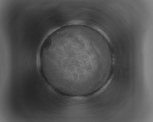 X0000103171117200808291505