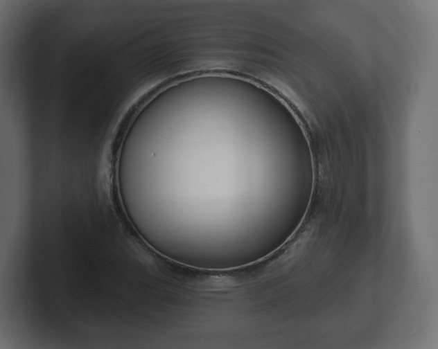 X0000103171119200808291505