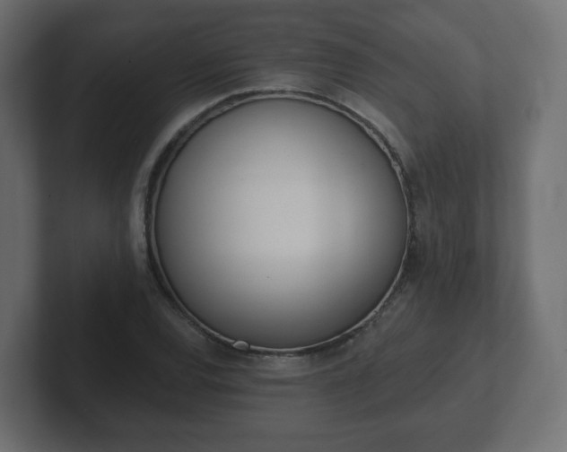 X0000103171120200808291505