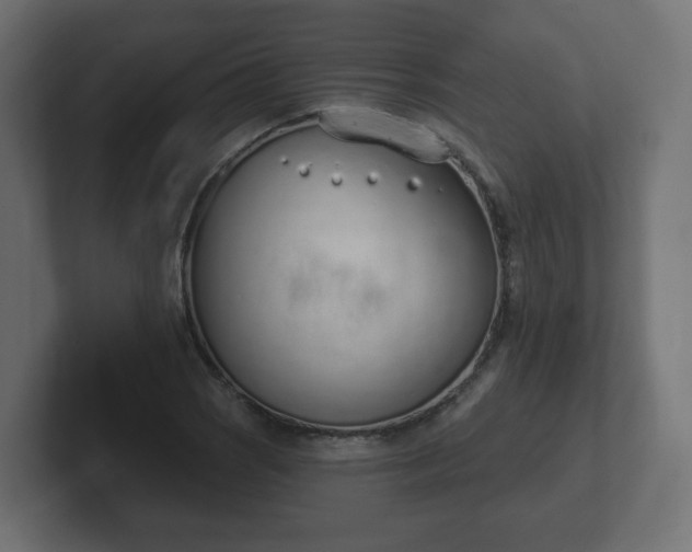 X0000103171121200808291505