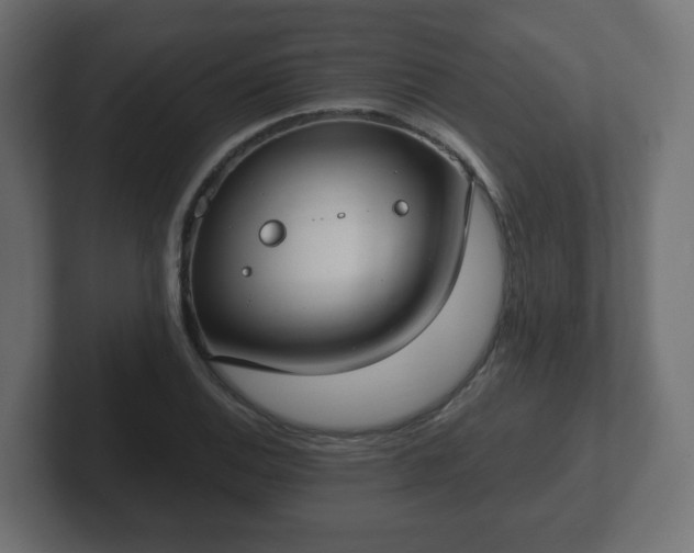 X0000103171124200808291505