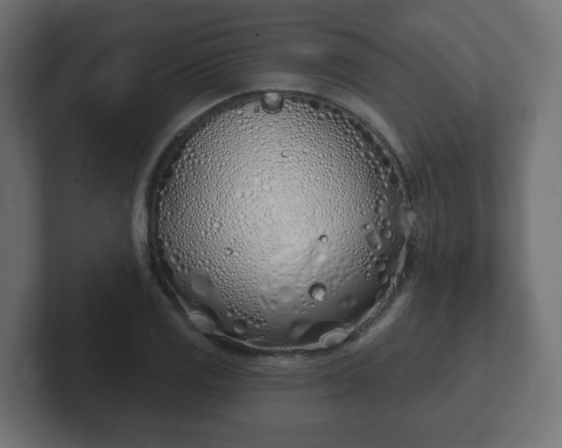 X0000103171125200808291505