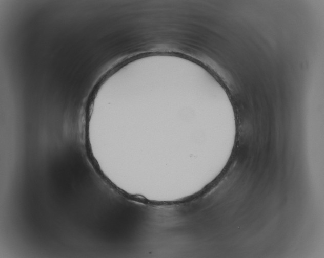 X0000103171126200808291505