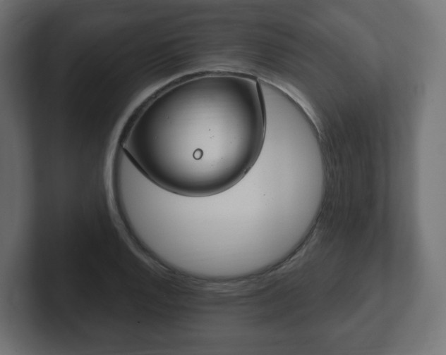 X0000103171128200808291505