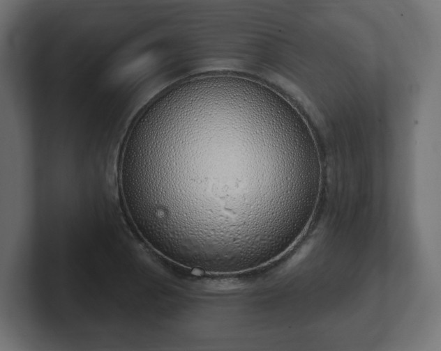 X0000103171129200808291505