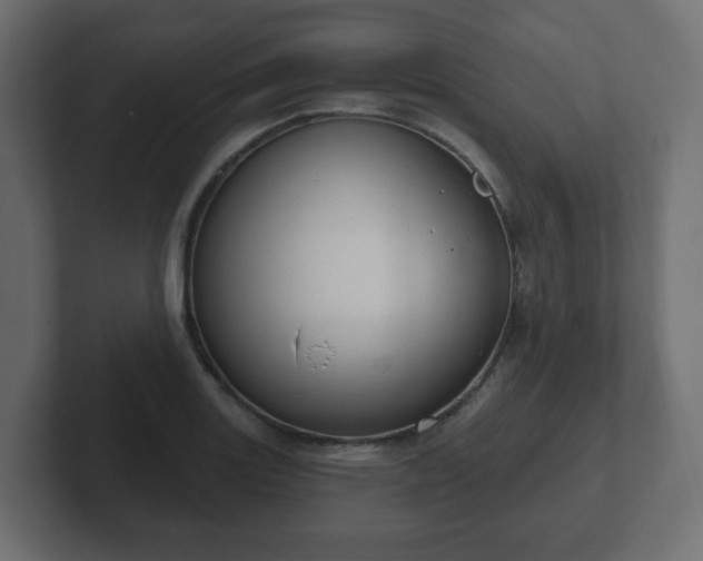 X0000103171131200808291505