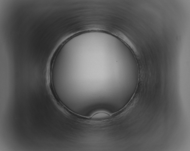 X0000103171132200808291505