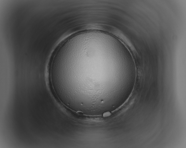 X0000103171133200808291505