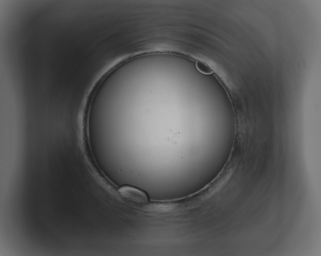 X0000103171134200808291505