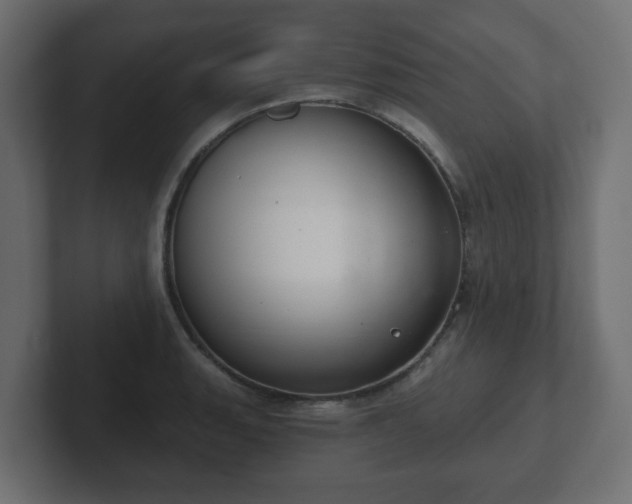 X0000103171135200808291505