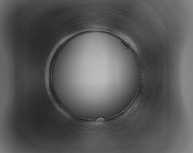 X0000103171136200808291505