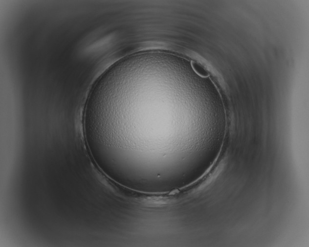 X0000103171137200808291505