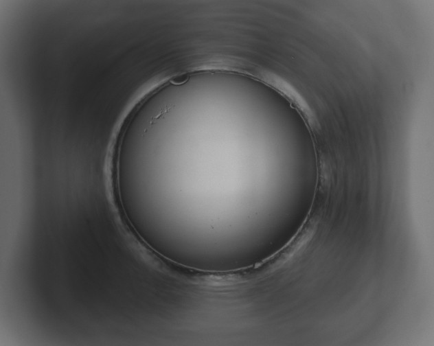 X0000103171138200808291505