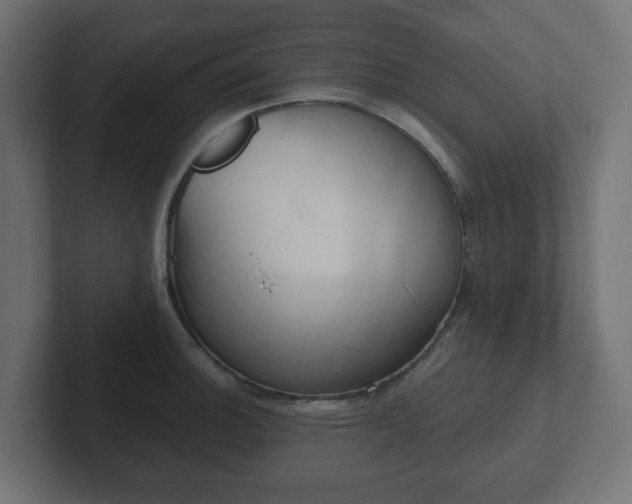 X0000103171140200808291505