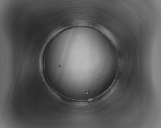 X0000103171141200808291505