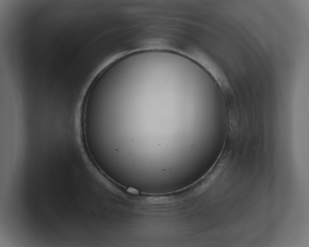 X0000103171142200808291505