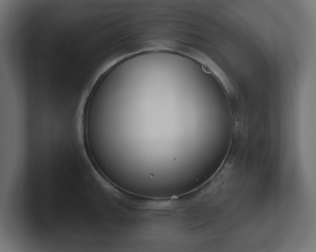 X0000103171143200808291505