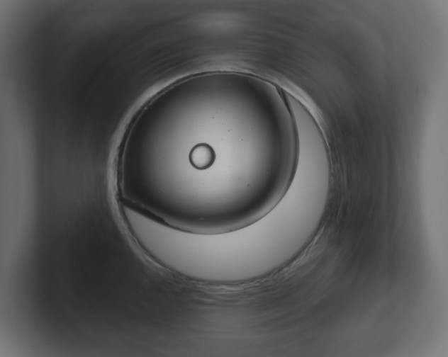 X0000103171144200808291505