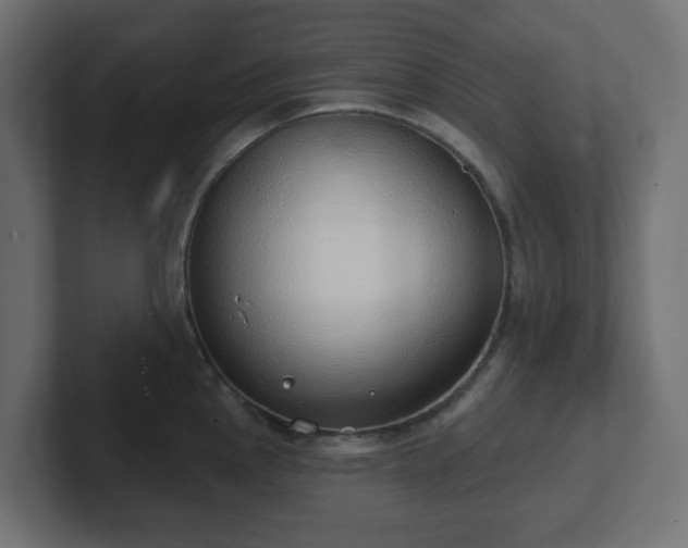 X0000103171145200808291505