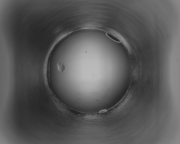 X0000103171146200808291505