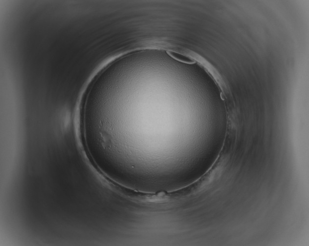 X0000103171147200808291505