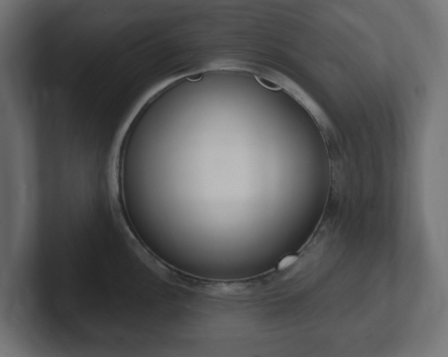 X0000103171148200808291505