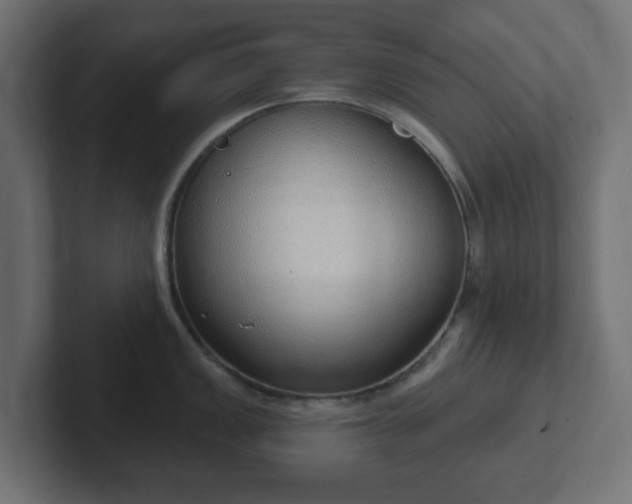 X0000103171149200808291505