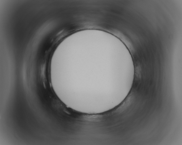 X0000103171150200808291505