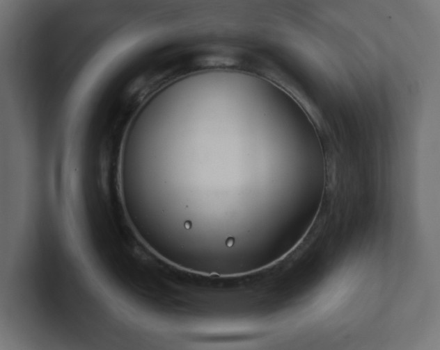 X0000103171151200808291505