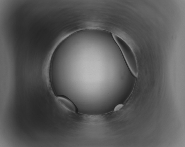 X0000103171152200808291505