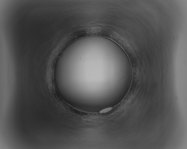 X0000103171153200808291504