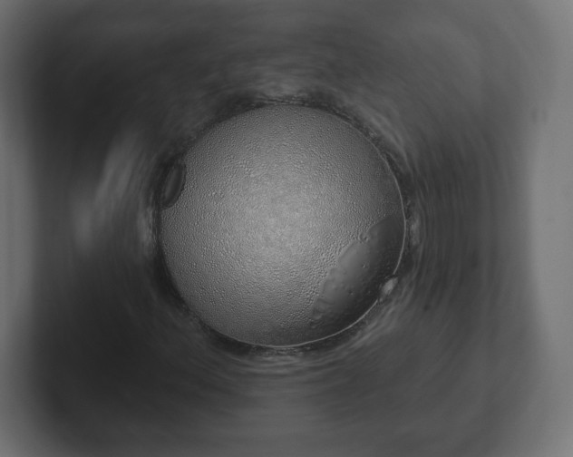 X0000103171156200808291504