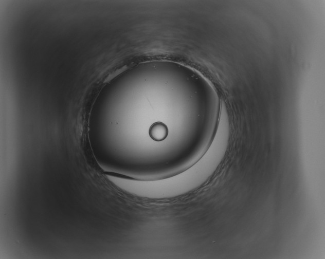 X0000103171157200808291504