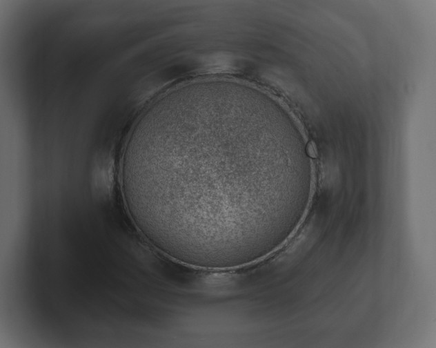 X0000103171161200808291504