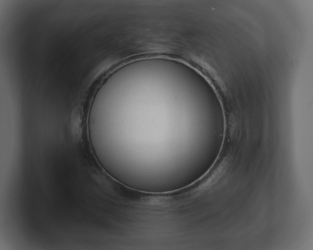 X0000103171163200808291504