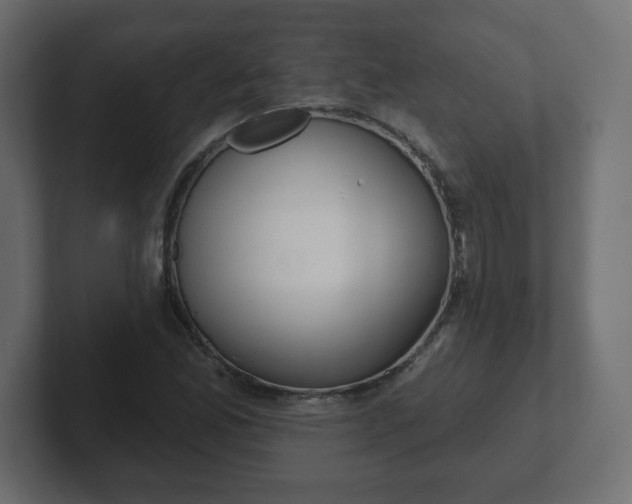 X0000103171165200808291504