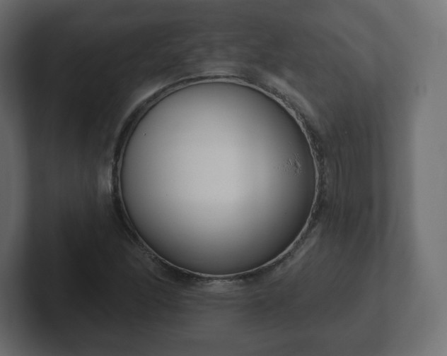 X0000103171166200808291504