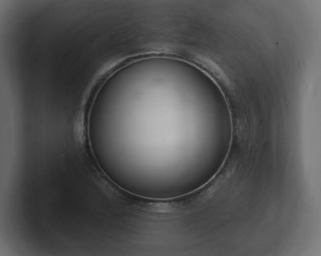 X0000103171172200808291504