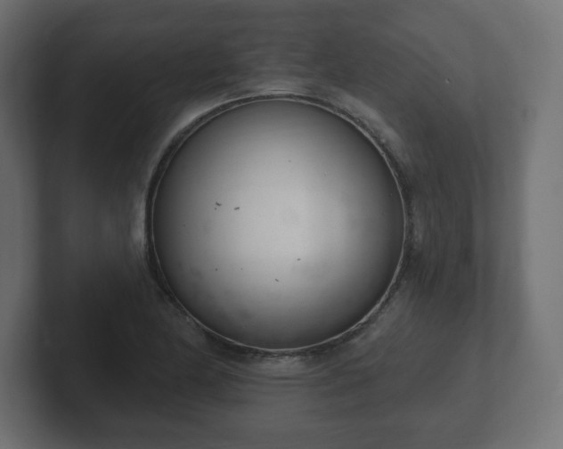 X0000103171174200808291504