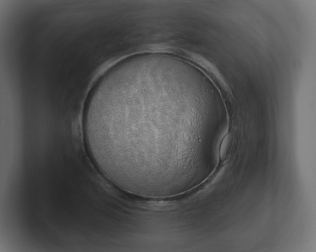 X0000103171176200808291504