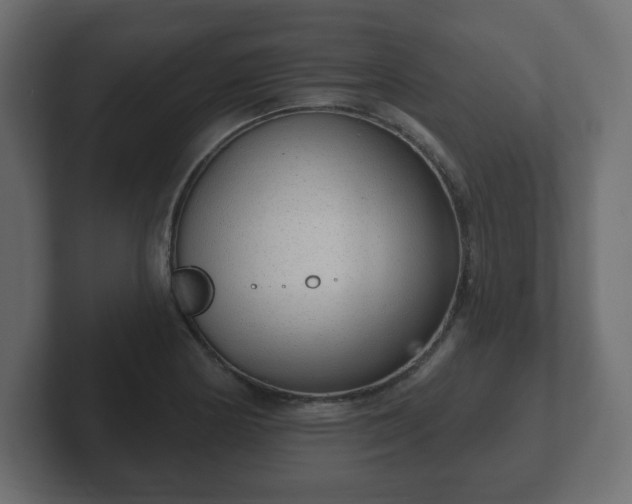 X0000103171178200808291504