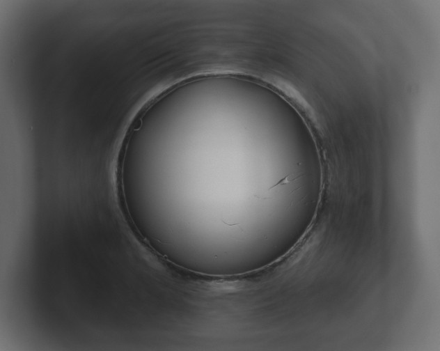 X0000103171181200808291504