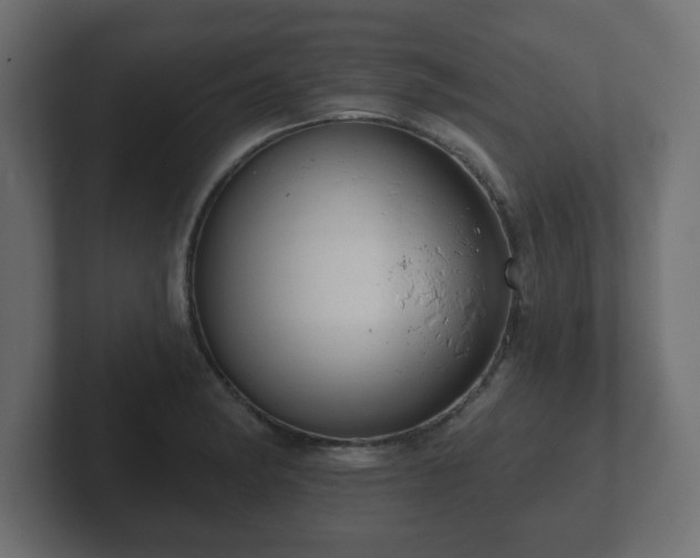 X0000103171182200808291504